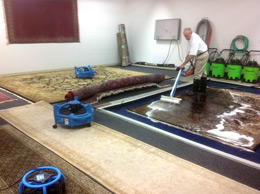 Rug cleaning submersion process