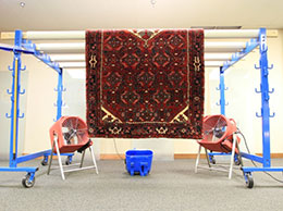Rug Cleaning Store