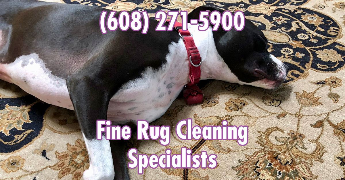 Rug Cleaning Madison 20 OFF Any Rug Cleaning